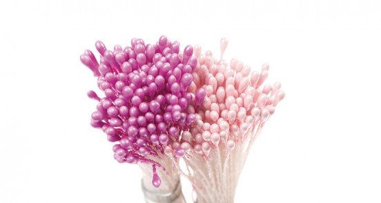  Foto: Pistilli per fiori viola Perlato e Rosa perlato cf.288